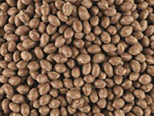 RAUBOND Cartridge Brown 35 lb. CTN