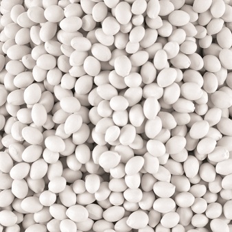 RAUBOND Premium White 55 lb. bag